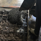 奧迪美 Optimix PC40W Prebatched Concrete - Standard (Waterproofing) 標準型防水包裝混凝土 / 40KG